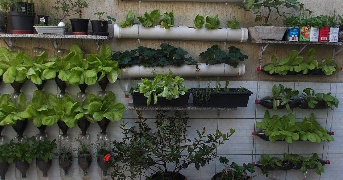 Ideias de sacada de apartamento com horta vertical!