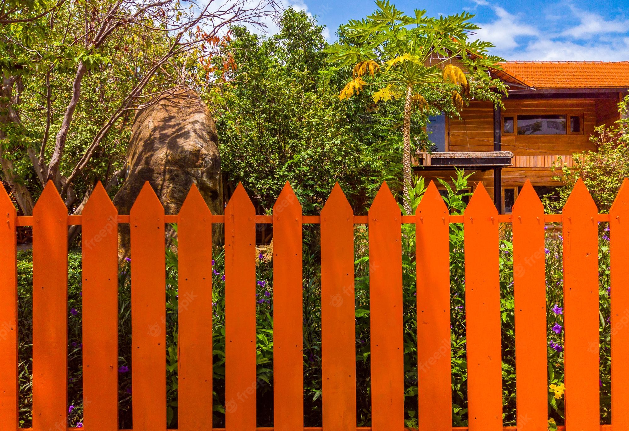 Cerca Topo em Bico, tendências para jardim!