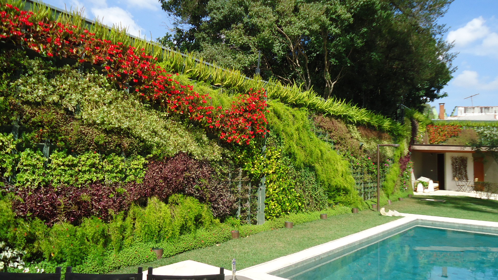 Paisagismo: 5 plantas para ter muros verdes e com flores!